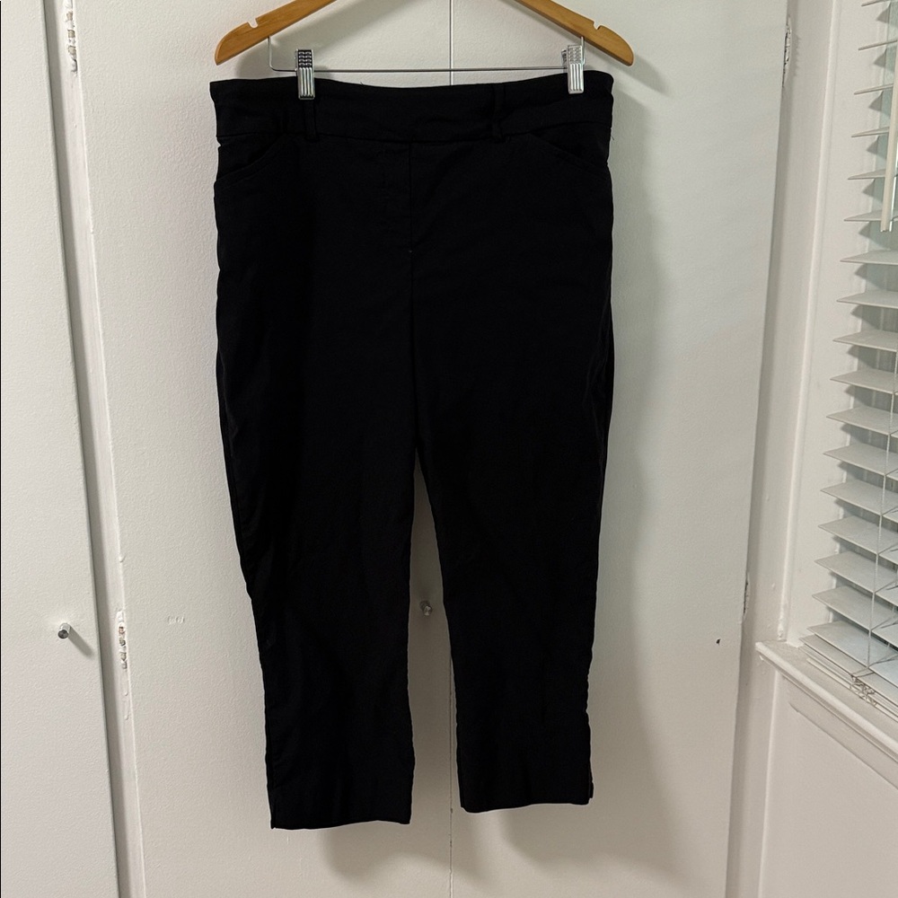 EUC Hilary Radley pull on  capri pants